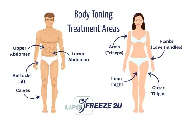 Graphic showing where you can have Body toning Treatment Newmarket on your body